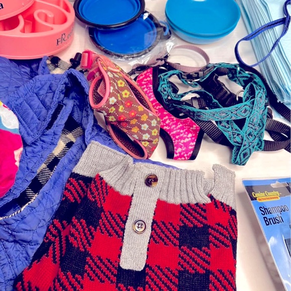 Small dog puppy lot ! - Picture 3 of 4